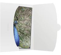 Daiber 09021 Pochettes photos blanc