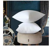 DAIHAN Oreillers De Lit Doux Confortable Oreiller Moelleux Anti-Acarien Coussin Blanc,2 oreillers, 35X55CM