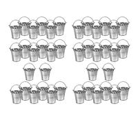 Daijianbin Lot de 40 mini seaux en métal portables pour fleurs - Pot de fleurs - Belle boîte à chocolats pour