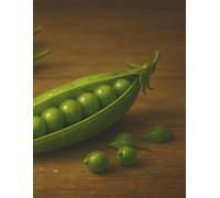 Daily Planner - Simple Green Focus: A clean and calming space to organise your day with clarity and purpose.