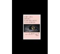 Daily Yoga Routine Beginner's Guide For Happiness The Mindful & Healthy Lifestyle With Zen & Spiritual Eternity