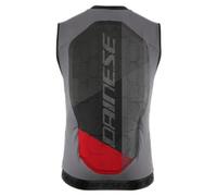 Dainese - Flexagon Waistcoat 2 Man, Gilet de Protection pour Le Ski, Protection Dorsale pour Le Ski, Argent/Gris, Homme