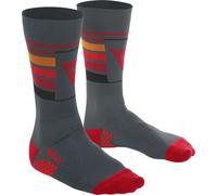 Dainese High Gravity Hallerbos Chaussettes De Vélo, Gris, Taille S Gris
