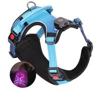 DAISTERN Von BSWAY LED Harnais Chien Lumineux Taille XL avec Poignée, Harnais Chien Anti Traction Réglable avec 3 Modes Clignotement, Bandes Réfléchissantes Facile à Mettre pour Petits et Moyen Chien