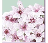 DAISY Lot de 20 serviettes en papier de soie à 3 plis Motif fleurs printanières pour le découpage et le déjeuner - 33 x 33 cm (fleur de cerisier)
