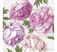 DAISY Lot de 20 serviettes en papier de soie à 3 plis Motif fleurs printanières pour le découpage, le déjeuner, 33 cm x 33 cm, pivoines romaines sur bois blanc