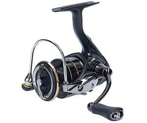 DAIWA 20 Ballistic EX LT 4000D-C