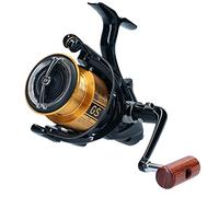 Daiwa Moulinet de pêche 20 GS BR LT - ambidextre, roue libre, frein avant - 3000
