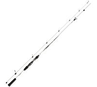 Daiwa Ballistic LTD Extra Fast Spin, 2,2 Mètres, 20-60 Grammes, 2 Éléments, Canne à Pêche aux Carnassiers, 11220-220