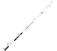 Daiwa Ballistic LTD Spin, 2,7 Mètres, 30-70 Grammes, 2 Éléments, Canne à Pêche aux Carnassiers, 11220-275