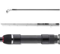 Daiwa Ballistic X Spin 2,40M 10-40G Canne À Pêche 2 Pièces