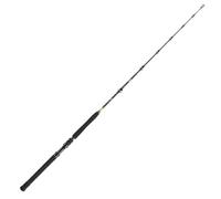 DAIWA BG Big Game Canne à pêche en eau salée en 3 parties 1,68 m