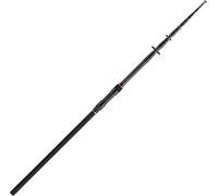 DAIWA Black Widow XT Canne à pêche à la Carpe télescopique 3,6 m 1,1 kg 60-100 g 6 pièces