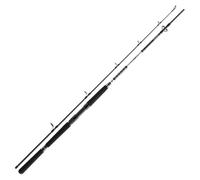 Daiwa Canne à pêche BG Offshore Boat 2,10 m/2,40 m