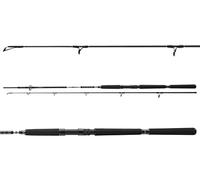 Daiwa Canne à pêche BG Offshore Pilk 2,10 m/2,40 m/2,70 m