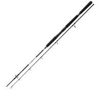 Daiwa Canne à pêche BG Offshore Pilk 2,40 m 50-165 g