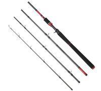 Daiwa Canne Baitcasting Ballistic