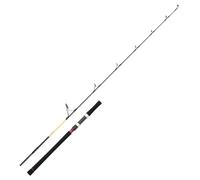 Daiwa Canne Baitcasting Jigging Grandwave Seabass 662 Xhb Off Set - 1.99m - 172g - P.Max.220g - Enc.148cm - GWSB662XHBOSBF