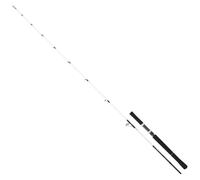 Daiwa Canne Jigging Saltist Off Shore