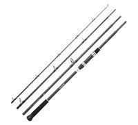 Daiwa Canne Leurres Procaster Game 244 H - 2.4m - 226g - P.20-80g - Enc.66cm - PRGM244HCF