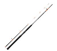 Daiwa Canne Megaforce Boat 18 H