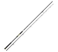 Daiwa Canne Shore Jigging Crosscast