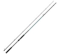 Daiwa Canne Spinning Caldia Seabass Distance