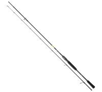 Daiwa Canne Spinning Prorex E Mover Iii
