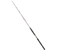 Daiwa Canne Spinning Saltist