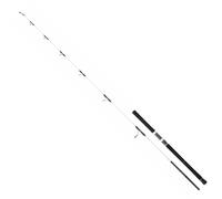 Daiwa Canne Spinning Saltist Off Shore