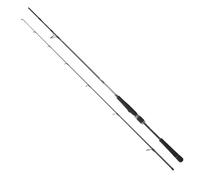 Daiwa Canne Spinning Saltist Seabass