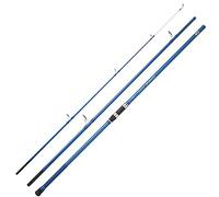 Daiwa Canne Surf Sensor Surf 423 H - 4.2m - 600g - P.100-200g - Enc.149cm - SES423HCF