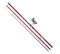 Daiwa Combo Surfcasting Sweepfire+q860fm