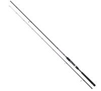 DAIWA Crosscast Seabass, 2 Pièces, Canne à Pêche Spinning