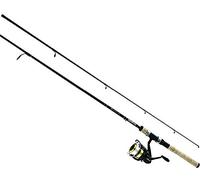 Daiwa Dsk25-b/F662 m-10 C D-Shock Bobine et Rod Combo avec Ligne 6 '15,2 cm Medium, Noir/doré