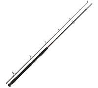 Daiwa Exceler Catfish Spin EXCCS 135G, 2,4 Mètres, 0-135 Grammes, 2 Éléments, Canne à Pêche Silure, 11819-242