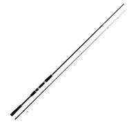 DAIWA Legalis Seabass, 2,90 m 12-42 g, 2 Pièces, Canne à Pêche Spinning