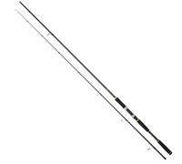 DAIWA Legalis Seabass, 3,05 m 14-56 g, 2 Pièces, Canne à Pêche Spinning
