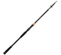 DAIWA Legalis Tele Allround Canne à pêche télescopique