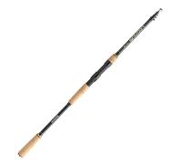 DAIWA Legalis Tele Spin Canne à pêche télescopique Longueur 3 m