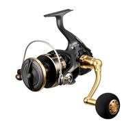 Daiwa Moulinet 23BG SW 10000-H