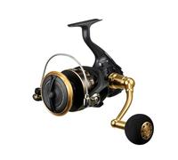 Daiwa Moulinet 23BG SW 14000-H