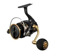 Daiwa Moulinet 23BG SW 5000D-CXH