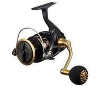 Daiwa Moulinet 23BG SW 6000D-P