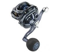 Daiwa Moulinet de pêche Lexa 300 HD Baitcasting Reel 6 Crbb