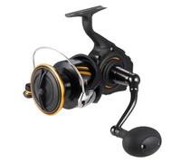 DAIWA Moulinet BG SW