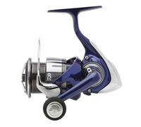 Daiwa Moulinet Carpe Team R 2024