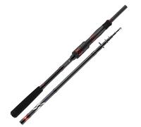 DAIWA Ninja X-Compact Spin 2.45m 15-50g