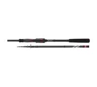DAIWA Ninja X-Compact Spin 2.45m 15-50g