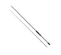 Daiwa Prorex LTD Canne à pêche 2,40 m 5-21 g